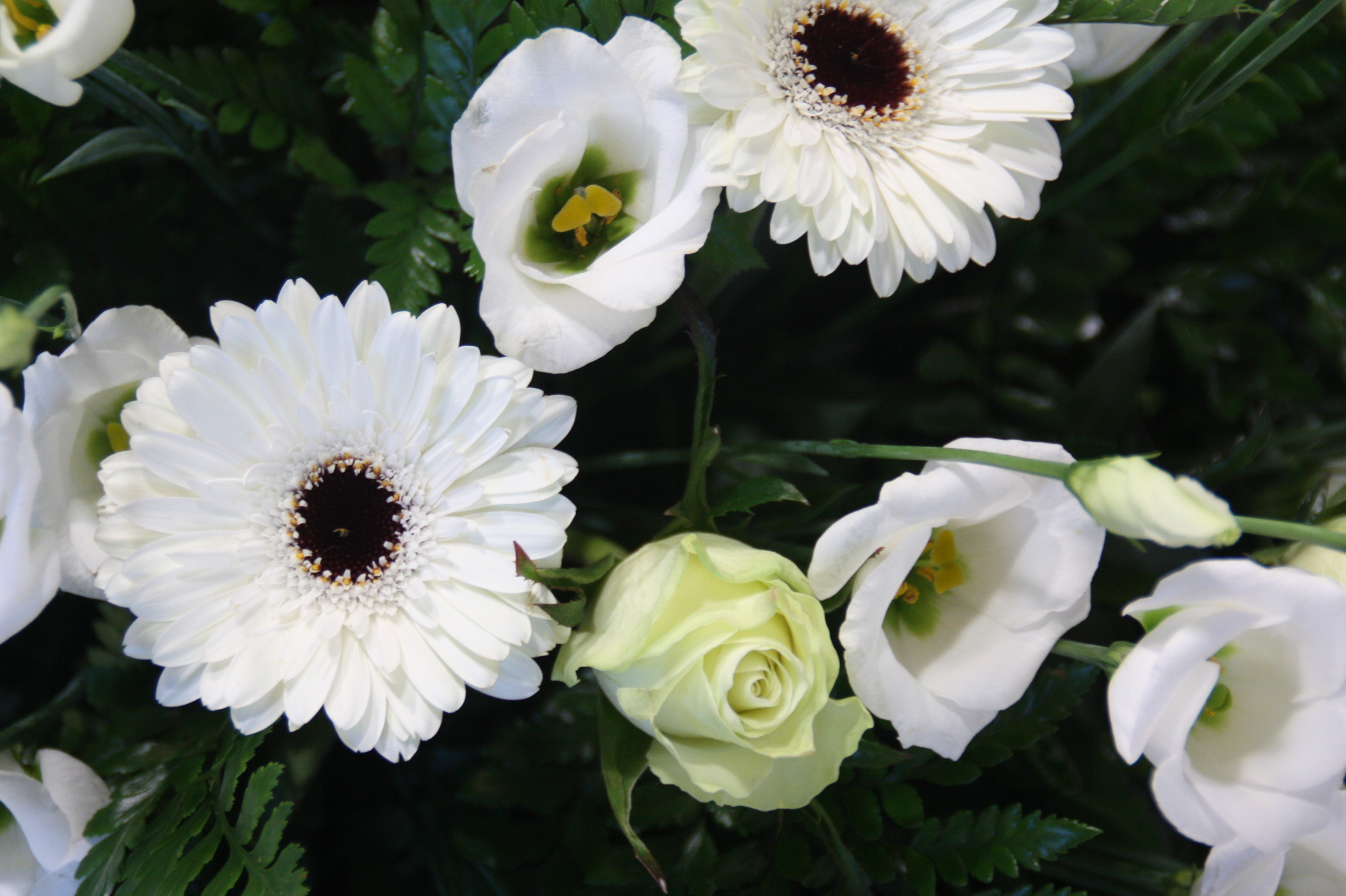 rouwbloemstuk wit roos en lisianthus